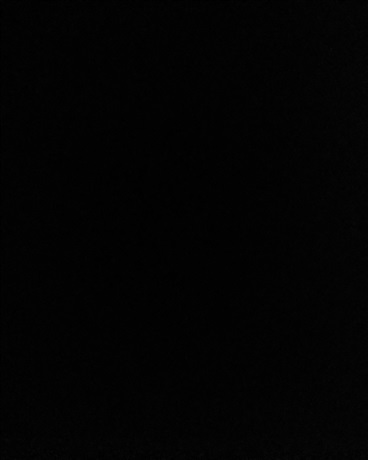 谈恋爱？应该不可能得的吧？