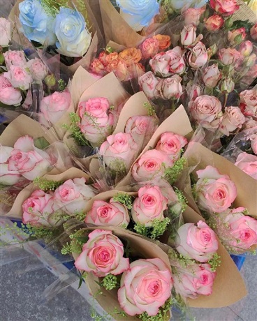 玫瑰和月季，你分得清吗？