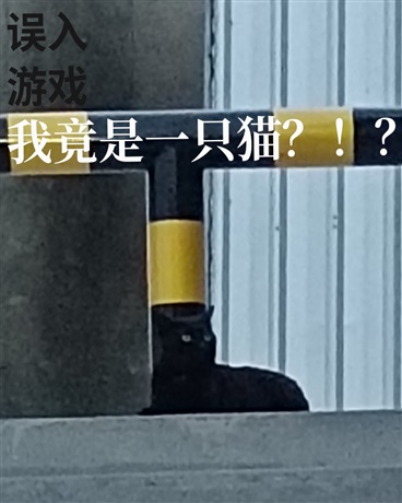 误入游戏，我竟是一只猫