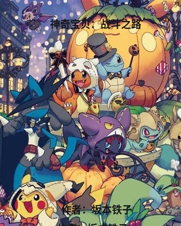 神奇宝贝：战斗之路
