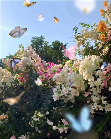 叶罗丽精灵梦之王默的父亲和亲人