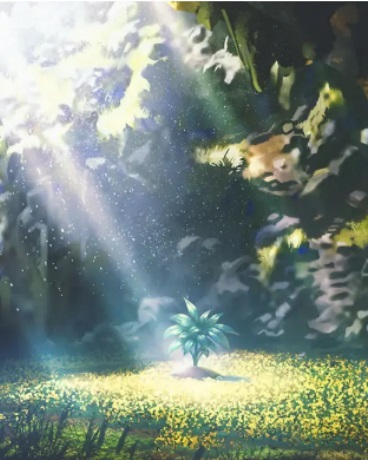 森林外的林荫道