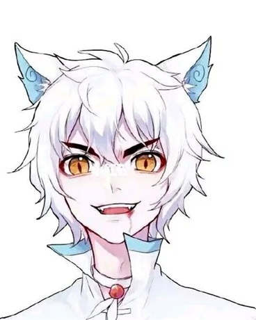 京剧猫之吸血猫