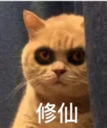 在修仙界我是靠实力作死