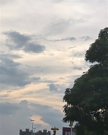 转生后我又成为了大学生