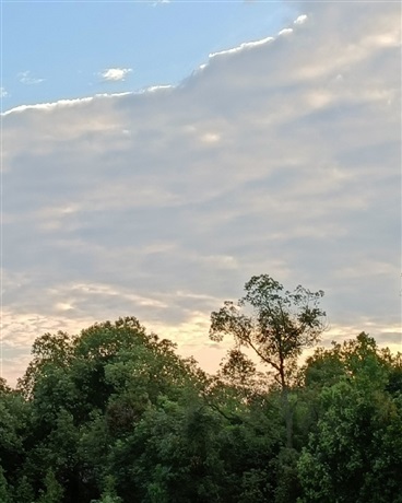 另一世界的旅途