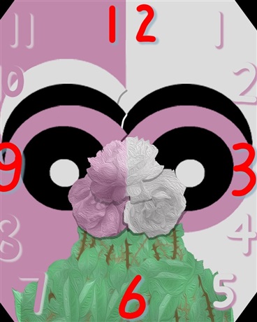 莫比乌斯式日常：粉白蔷薇