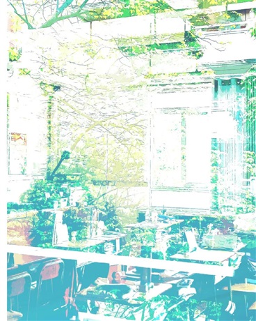 高冷校霸与阳光跳级生