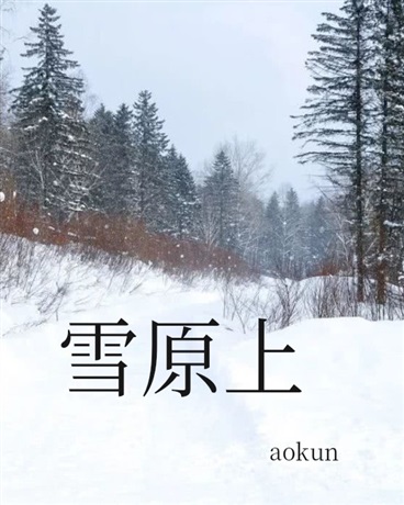 雪原上
