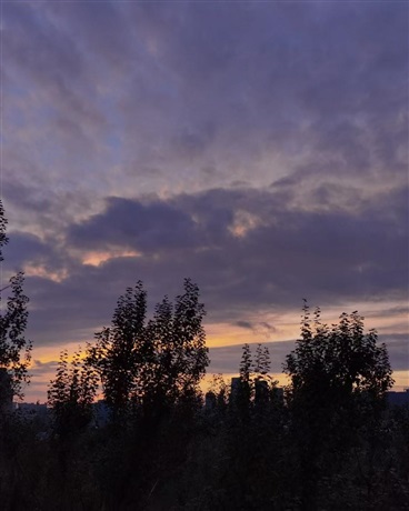 自认废材的你我是否有美好未来