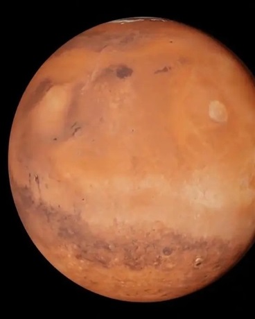 卖气小哥讨厌二硫键