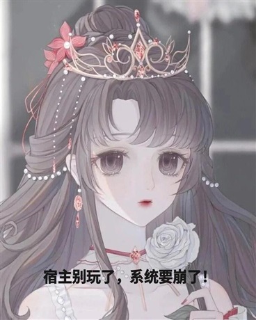 宿主别玩了，系统要崩了！