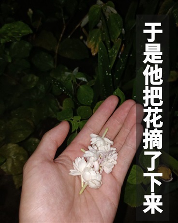 于是他把花摘了下来