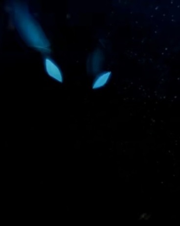 夜与神明的冒险战