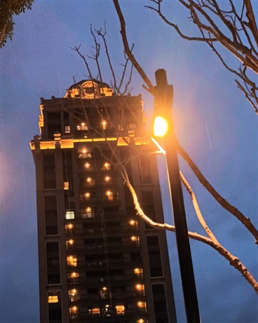 橘子和他的七個哥哥青梅竹馬介紹