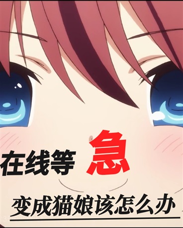 变成猫娘怎么办？在线等急！