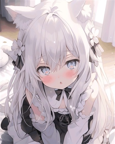 不知名的猫娘世界