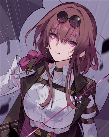 成分复杂的我来到崩坏