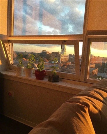 世界崩坏之暗黑能量作者穿越