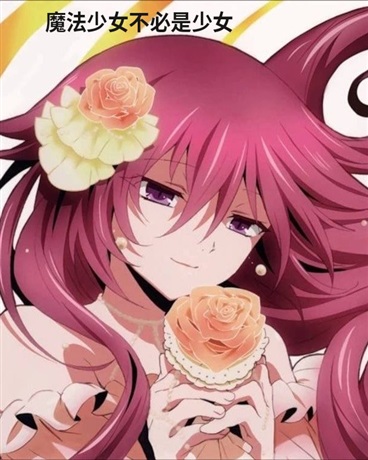 魔法少女不必是少女