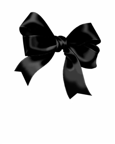 黑色英雄：荆棘玫瑰