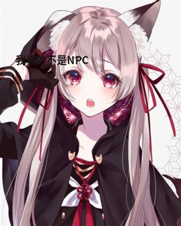 我真不是NPC
