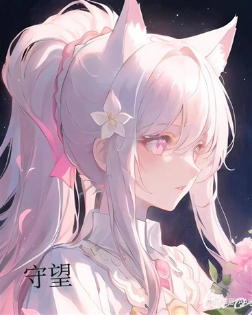 守望的天空