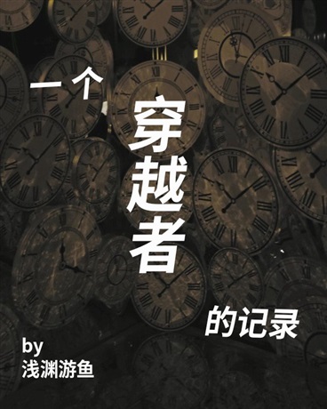 一个穿越者的记录