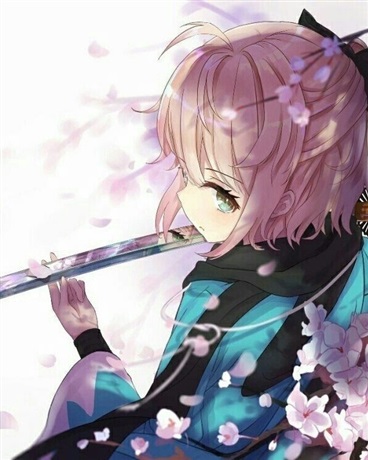 我不当剑豪了！