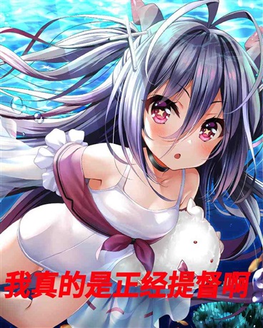 我真的是正经提督啊