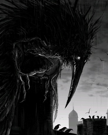 收集石头的乌鸦只有不断飞翔