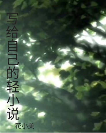 写给自己的轻小说