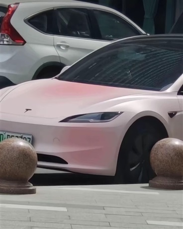 精神分裂的我想毁了世界