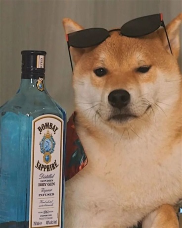 冰海之下的曙光