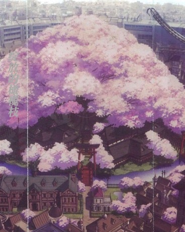 绽放的橄榄枝
