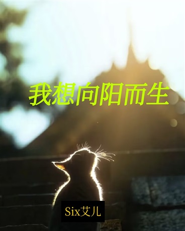我想向阳而生