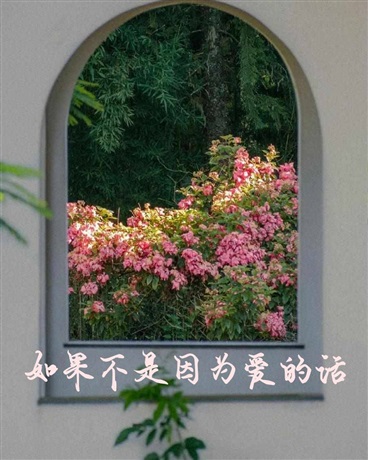 如果不是因为爱的话