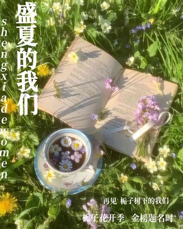 盛夏的我们
