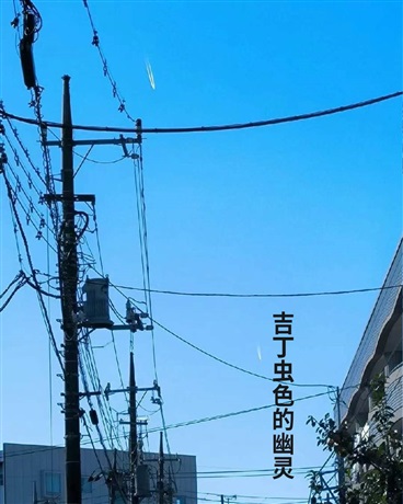 吉丁虫色的幽灵