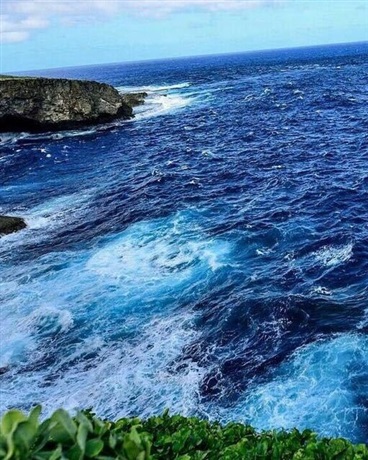 涵哥说西方艺术史之冒险