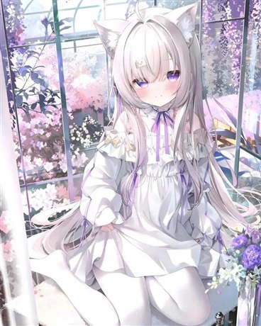 猫猫才不会被小小助手给以下犯上