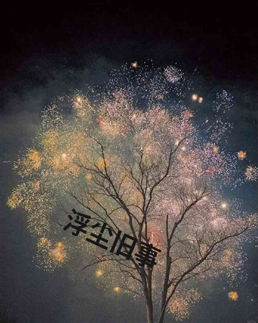 浮尘若梦，一枕槐安