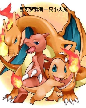 宝可梦我有一只小火龙