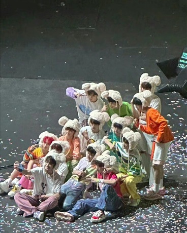 TF三代：姐姐別走好不好？