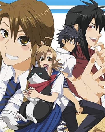 青春依存连锁与伪爱不等式