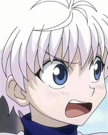 猎人,来自流星街