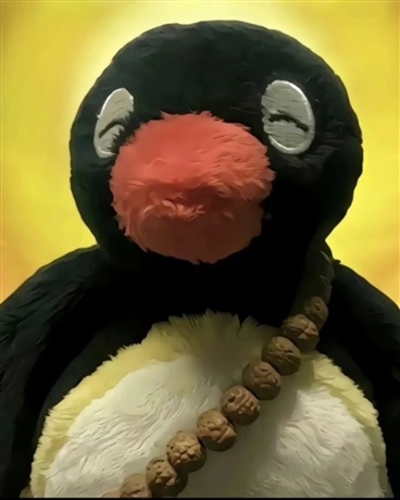 不是我主动，是她们自己送