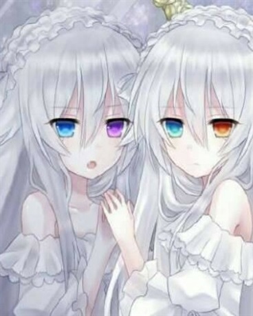 傲娇小姐的校园恋曲