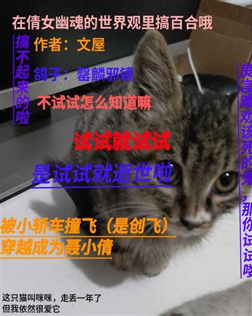 被小轿车撞到异世穿越成了聂小倩