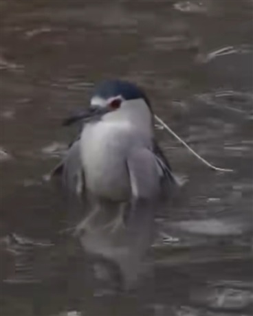 大夜老师的奇妙冒险